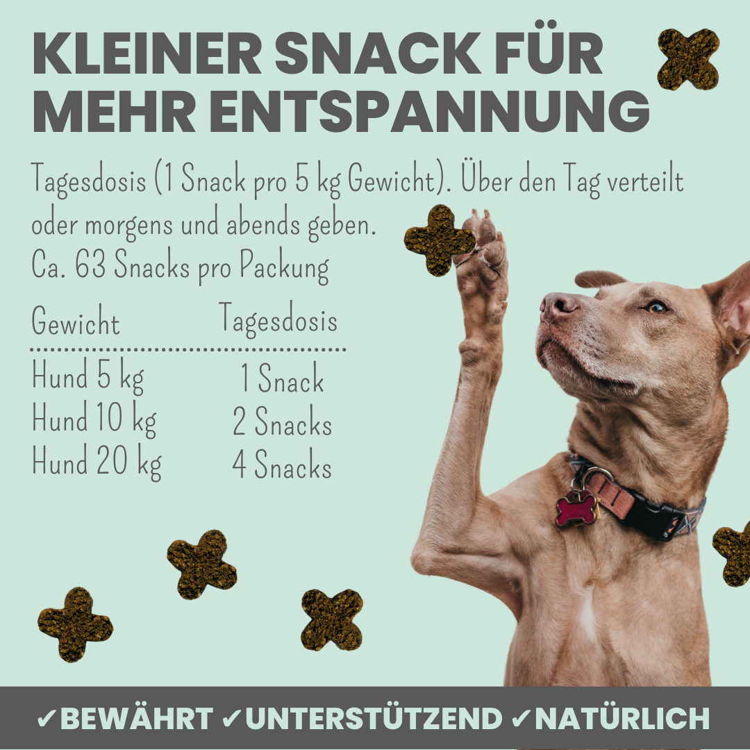 Softer Wohlfühlsnack für Hunde