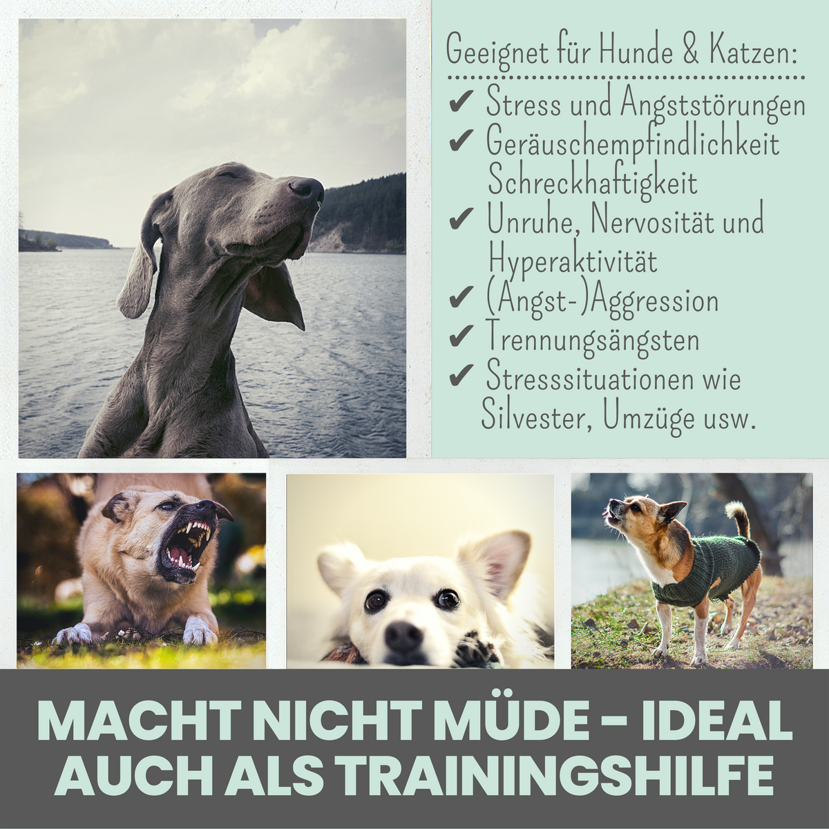 noms+ Wohlfühltabs
