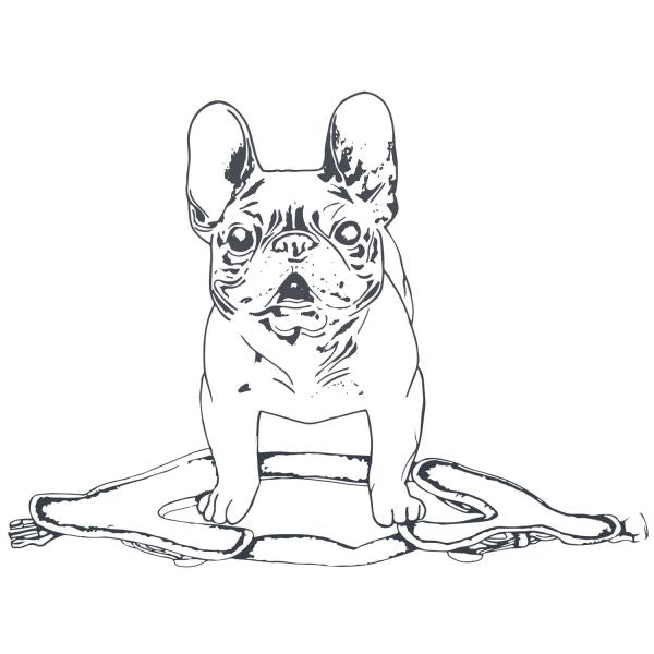 Hundegeschirr "Hilo Comfort" | anthrazit