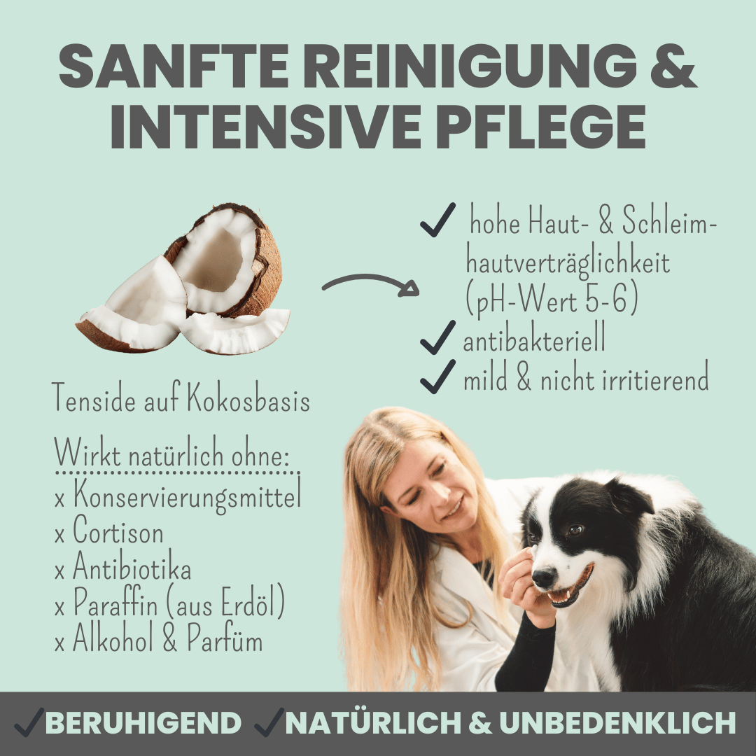 Noms+ Augenfein Info