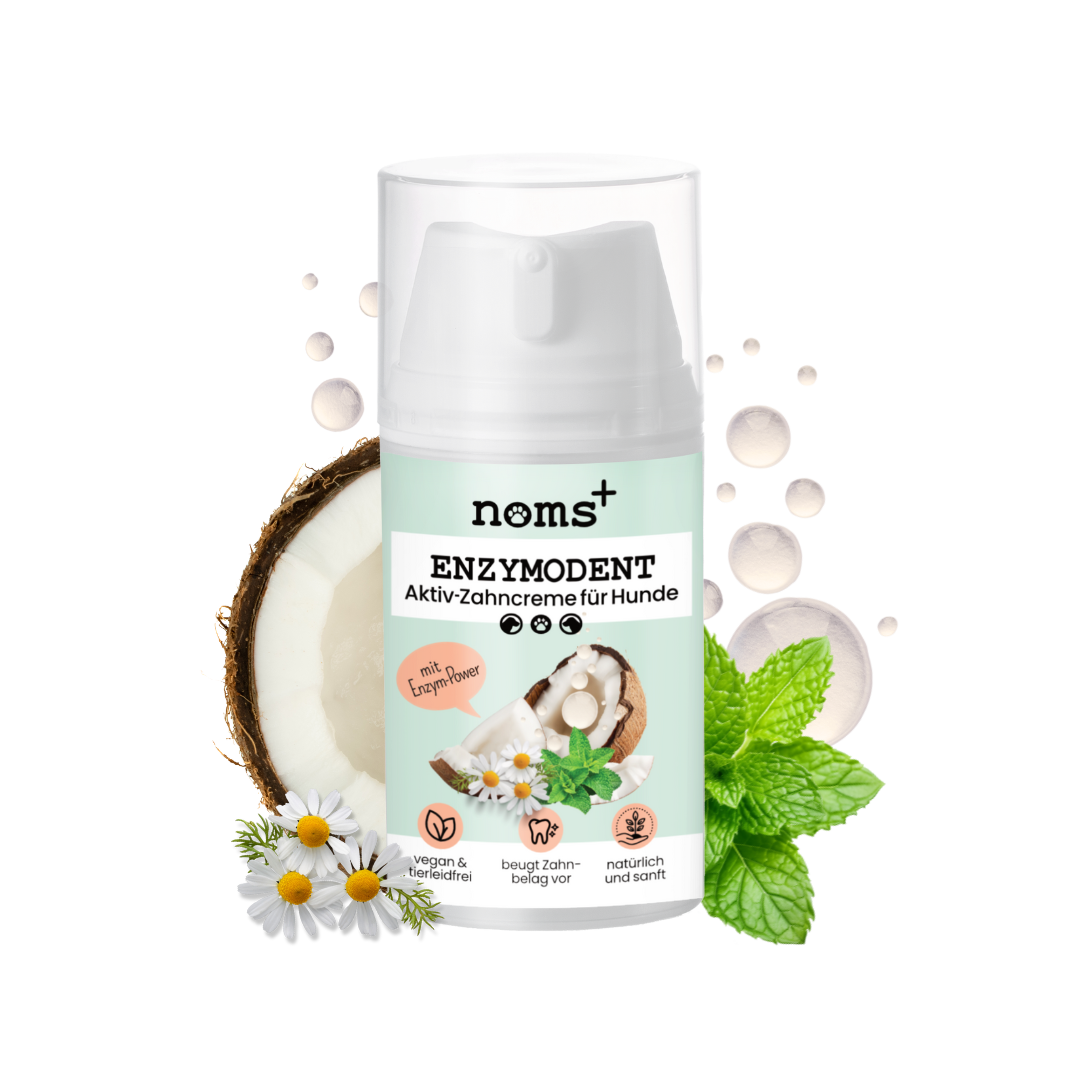 Aktiv Zahncreme für Hunde mit Zutaten