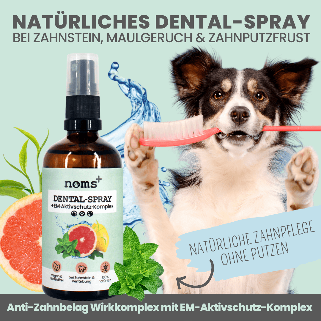 nomsplus Dental-Spray