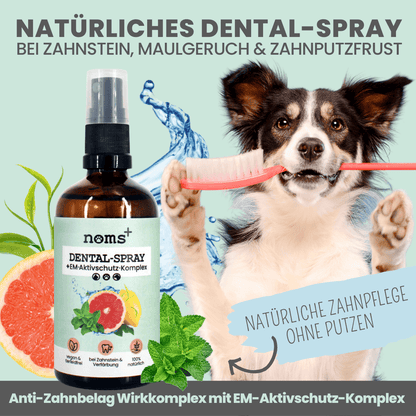 nomsplus Dental-Spray