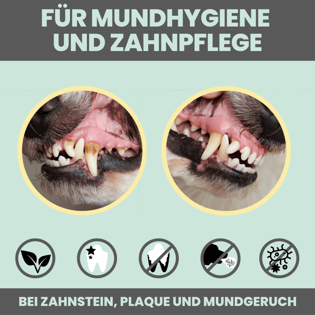 nomsplus Dental-Spray