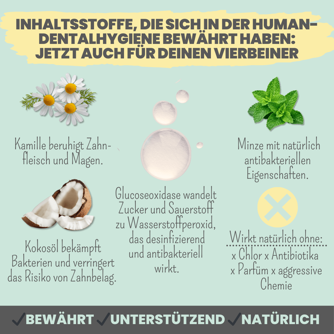 Aktiv Zahncreme für Hunde Inhaltsstoffe