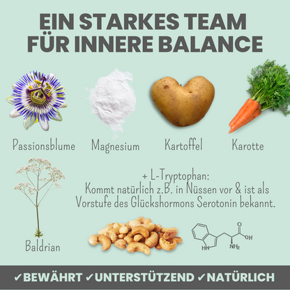 Softer Wohlfühlsnack für Hunde