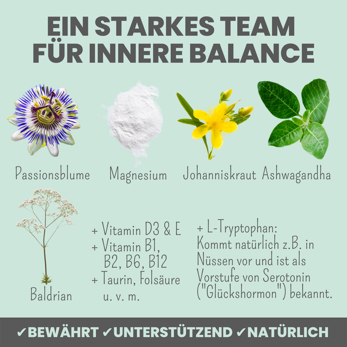 noms+ Wohlfühltabs