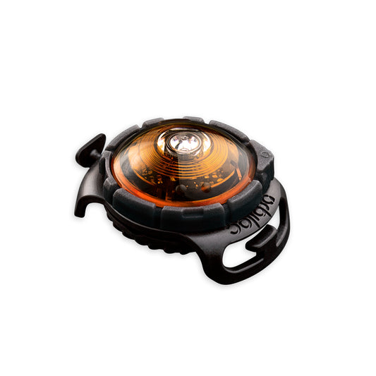 Orbiloc Dog Dual Amber