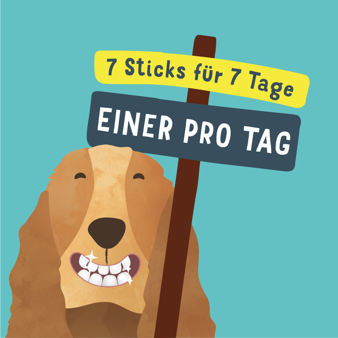 EdgardCooper Dental Sticks Apfel Empfehlung