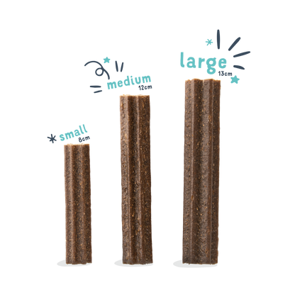 EdgardCooper Dental Sticks Apfel