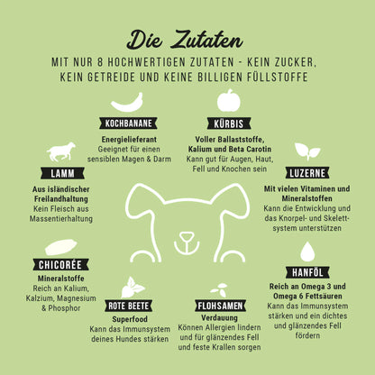 Trockenfutter Lamm | für Welpen