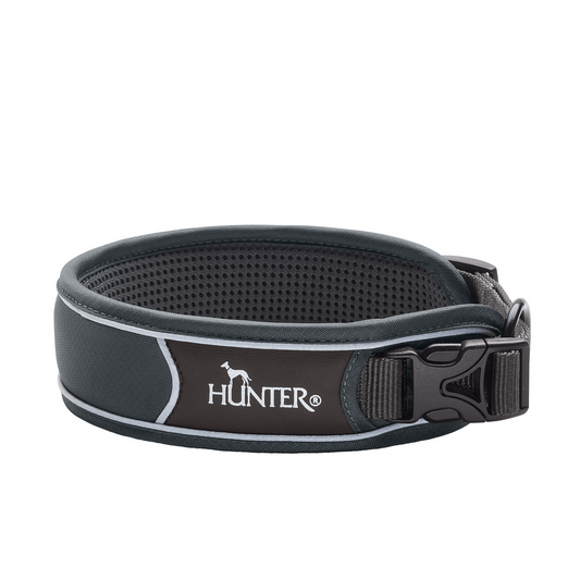 Hundehalsband "Divo" | grau/grau
