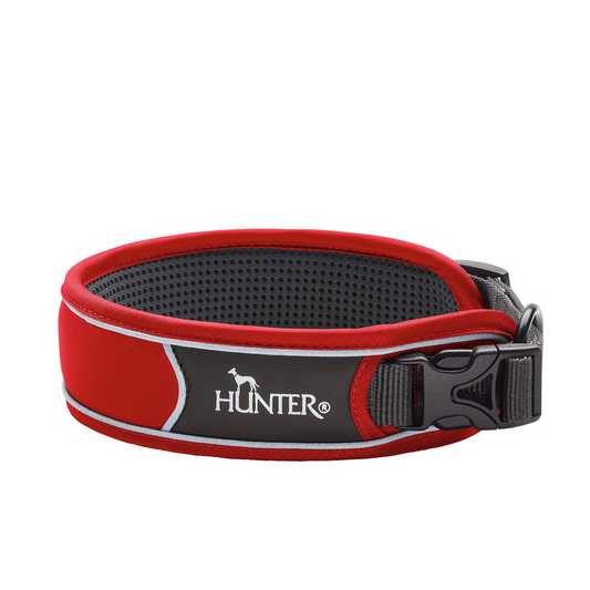 Hundehalsband "Divo" | rot/grau