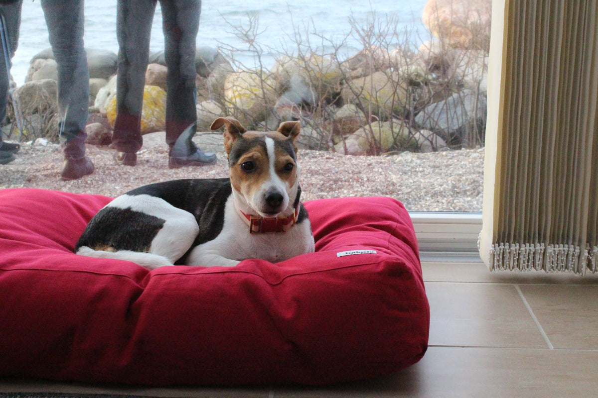 tadazhi Hundebett Tobine rot mit Hund