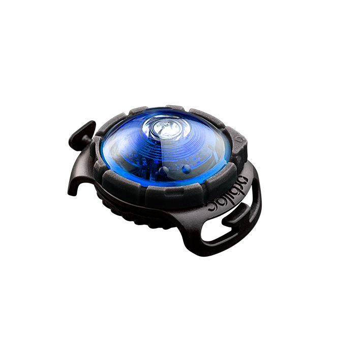 Orbiloc Dog Dual Blue