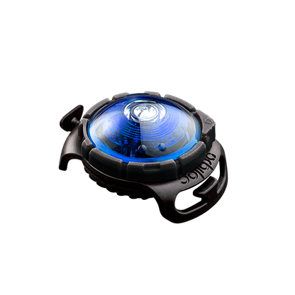 Orbiloc Dog Dual Blue