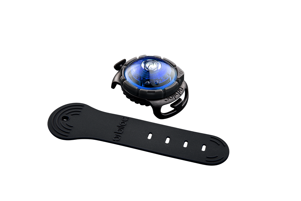 Orbiloc Dog Dual Blue mit Band