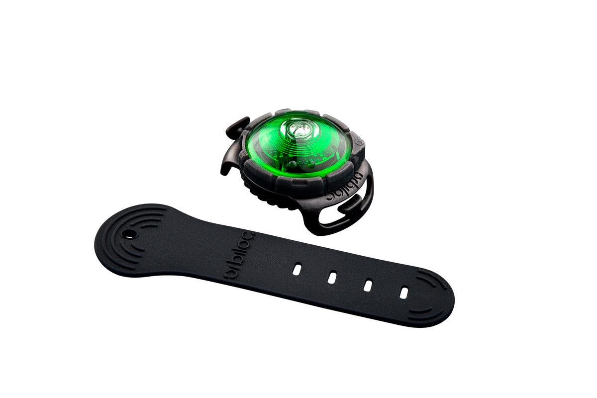 Orbiloc Dog Dual Grün mit Band