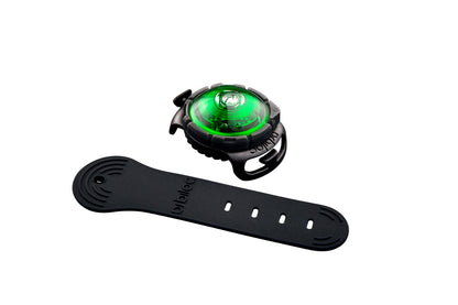 Orbiloc Dog Dual Grün mit Band