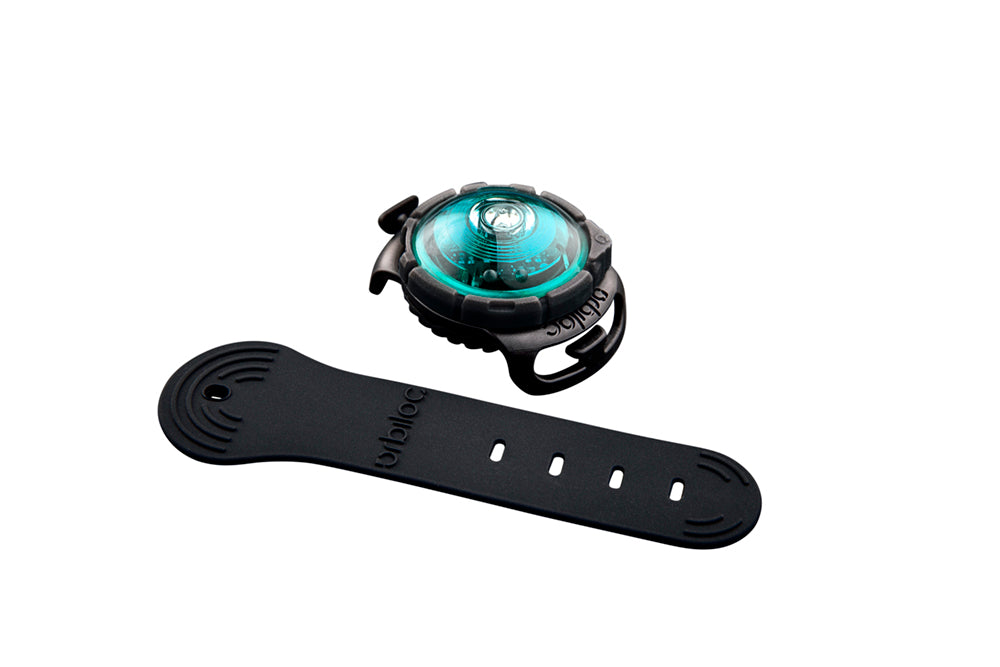Orbiloc Sicherheitslicht Dog dual türkis mit Band