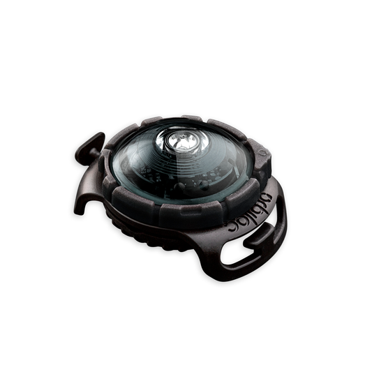 Orbiloc Dog Dual Dark