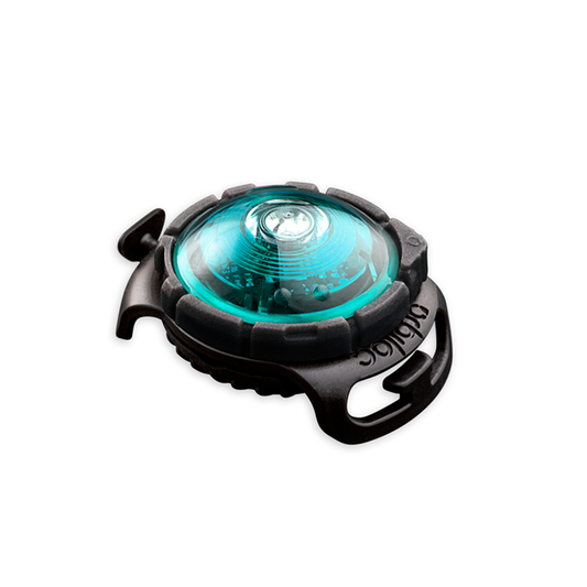 Orbiloc Sicherheitslicht Dog dual türkis