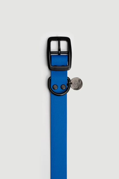 Biothane Halsband blau Detail