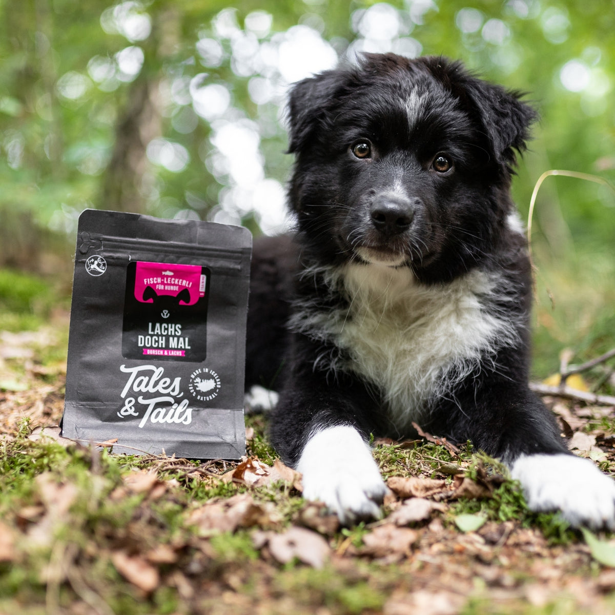 Tales & Tails Leckerli Lachs mit Hund