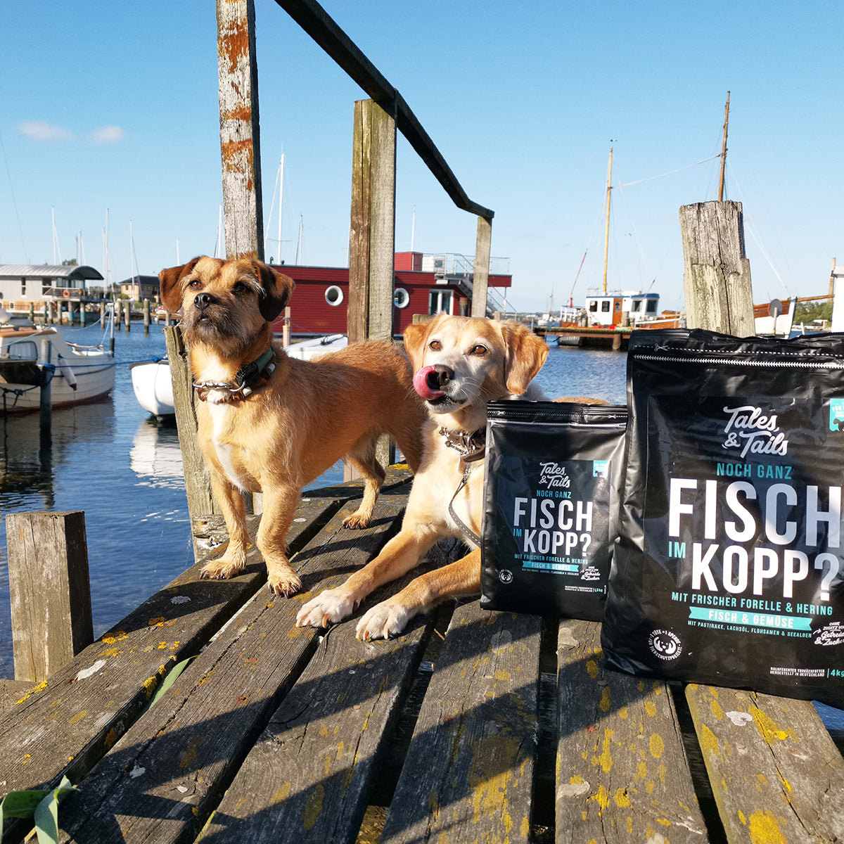 Tales & Tails Trockenfutter Fisch mit Hund
