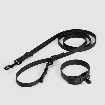 Biothane Set Halsband und Leine in schwarz von Thomas & Henry