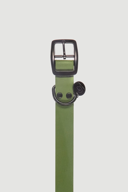 Biothane Hundehalsband in olive von Thomas & Henry Detail