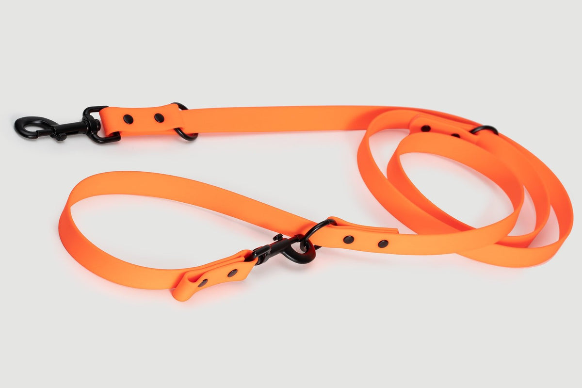 Biothane Hundeleine in orange von Thomas & Henry