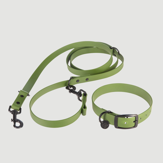 Biothane Set Halsband und Leine in olive von Thomas & Henry